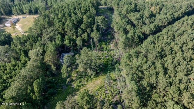 174 Pap Armstrong Road Wiggins, MS 39577 - Photo 3 of 6 DJI_20250912164658_0213_D_DRONE