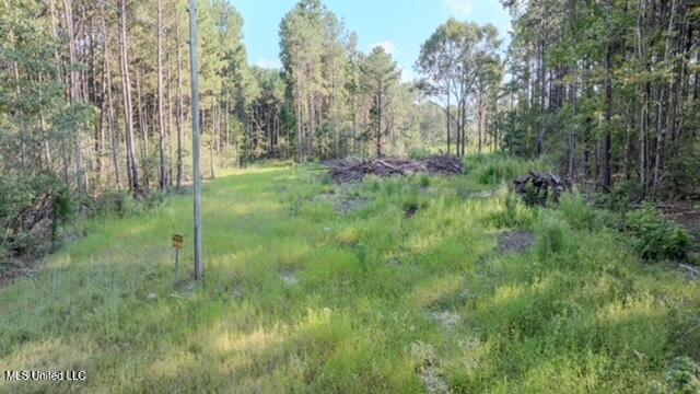 174 Pap Armstrong Road Wiggins, MS 39577 - Photo 4 of 6 DJI_20250912164920_0217_D_DRONE