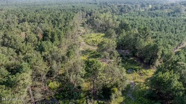 $69,390 | 174 Pap Armstrong Road, Wiggins, MS 39577