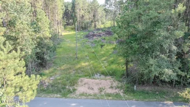 $69,390 | 174 Pap Armstrong Road, Wiggins, MS 39577