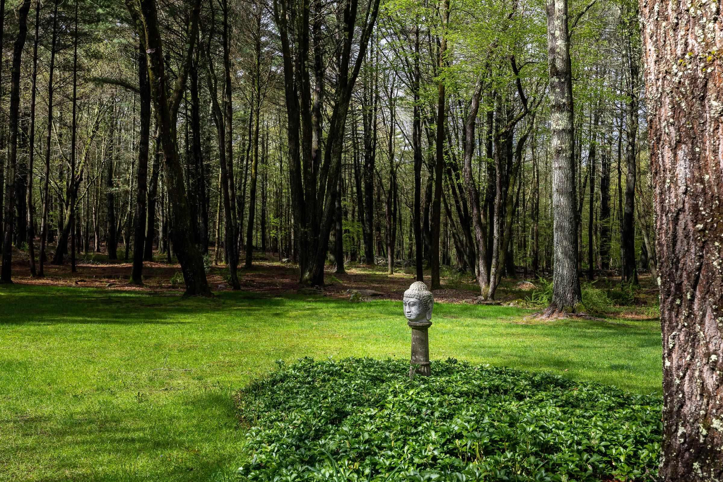 279 Scarawan Road Stone Ridge, NY 12484 - Photo 21 of 23 a view of a park with a tree