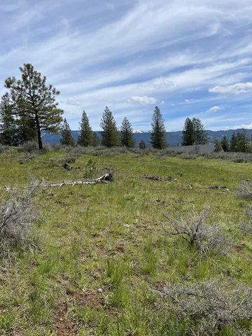 $109,900 | Tbd Yarrow Drive, Unit 33, New Meadows, ID 83654