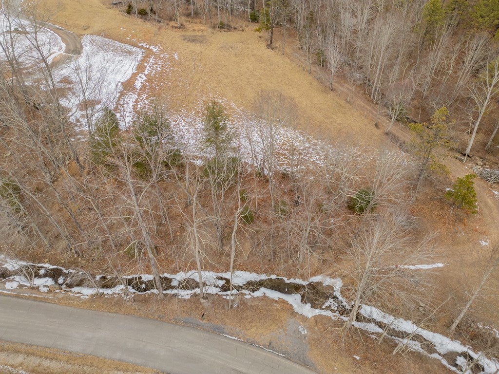 Tbd Spur Branch Road, Unit 4 Dublin, VA 24084 - Photo 85 of 85 Gallery Image 85