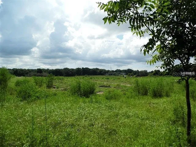 $4,000,000 | 10201 Timmons Road, Thonotosassa, FL 33592