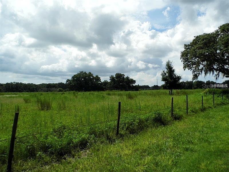 10201 Timmons Road Thonotosassa, FL 33592 - Photo 3 of 5