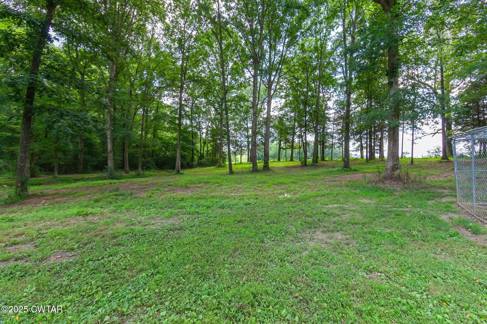 515 Howard Road Henderson, TN 38340 - Photo 32 of 32 a grassy field with trees in the background