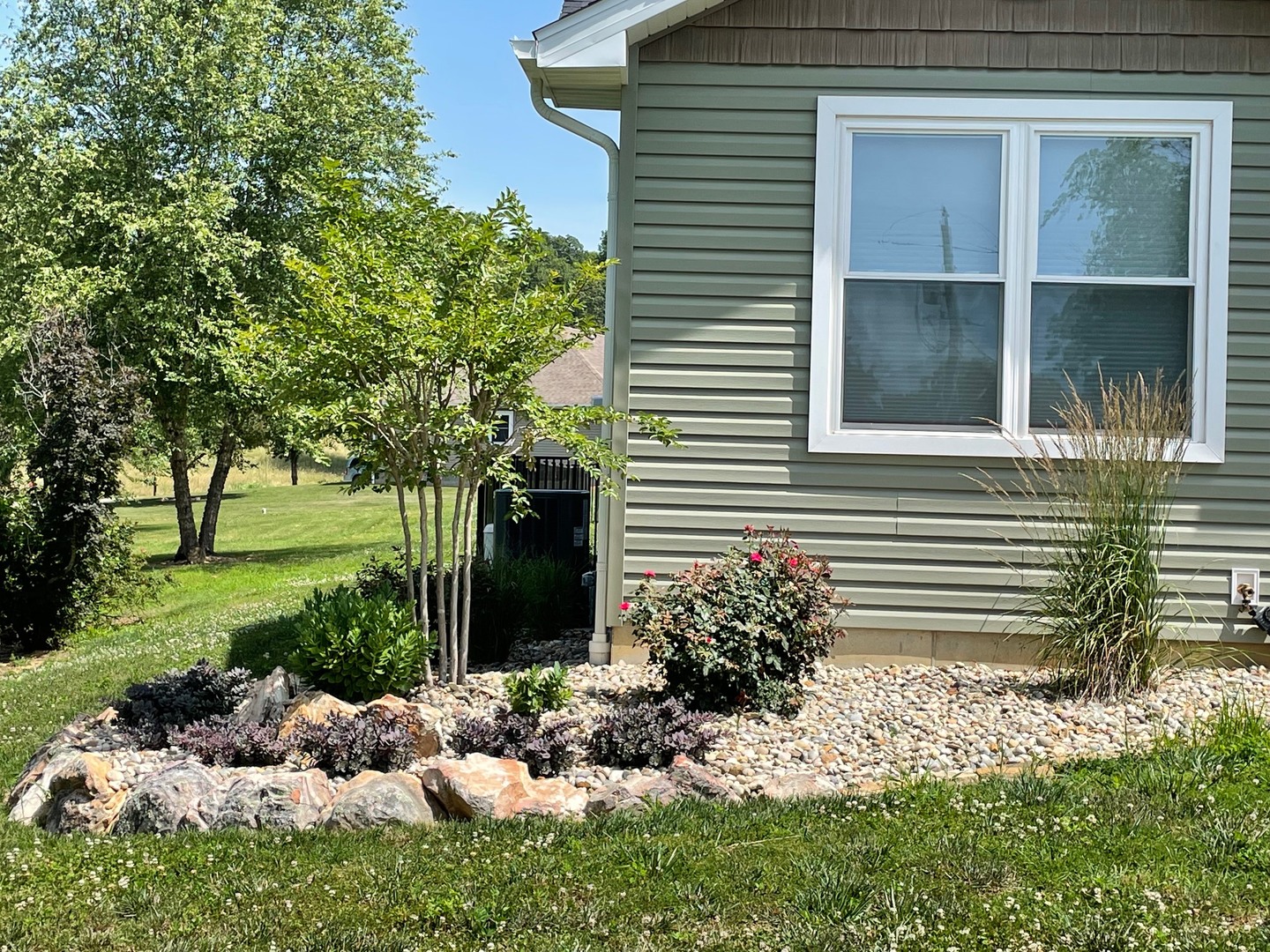 125 Old Bloomfield Road Vienna, IL 62995 - Photo 2 of 53 a view of a backyard with potted plants and large trees