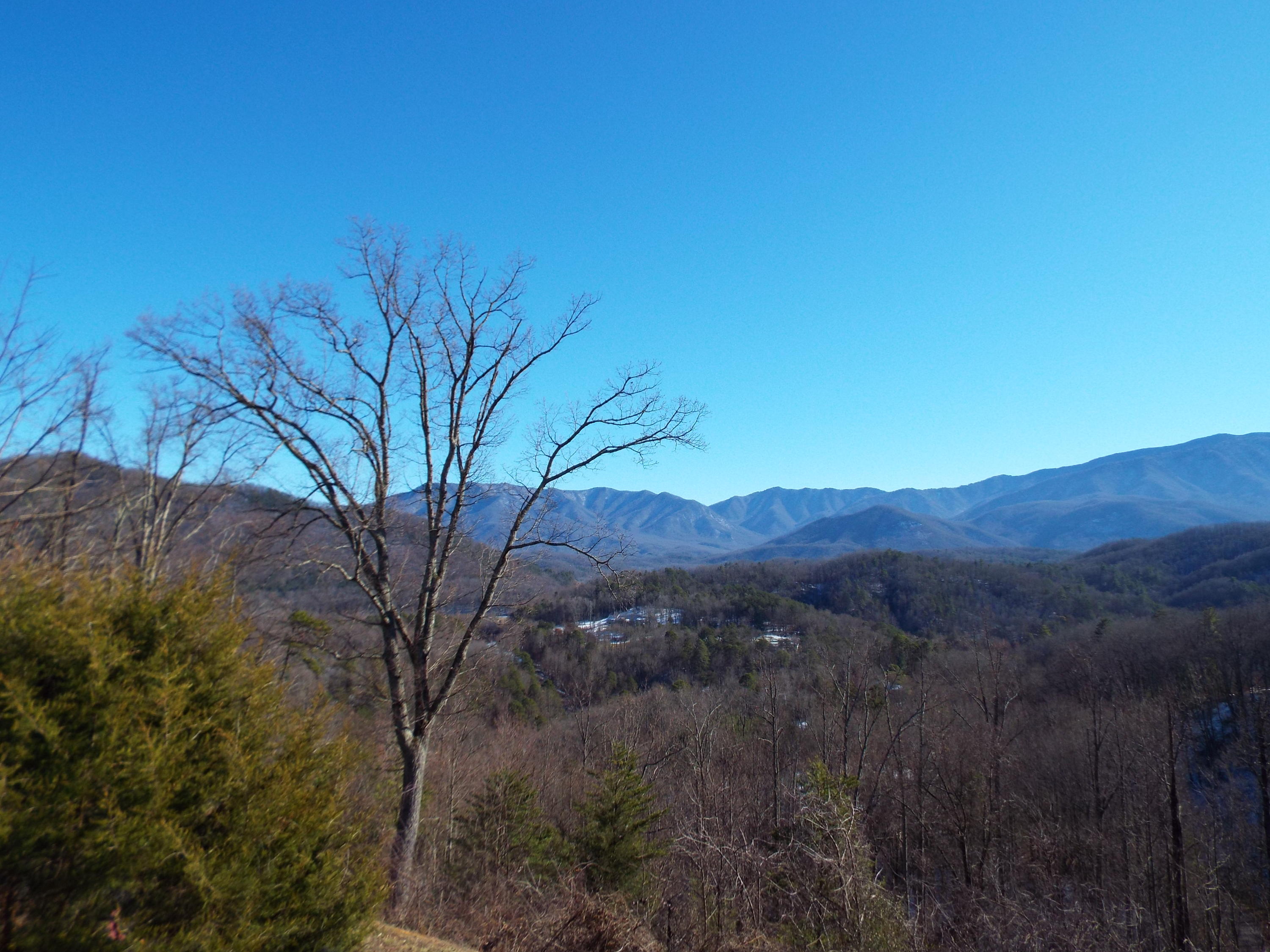 115-117 Big Tree Road Cosby, TN 37722 - Photo 38 of 40 DSCF9520