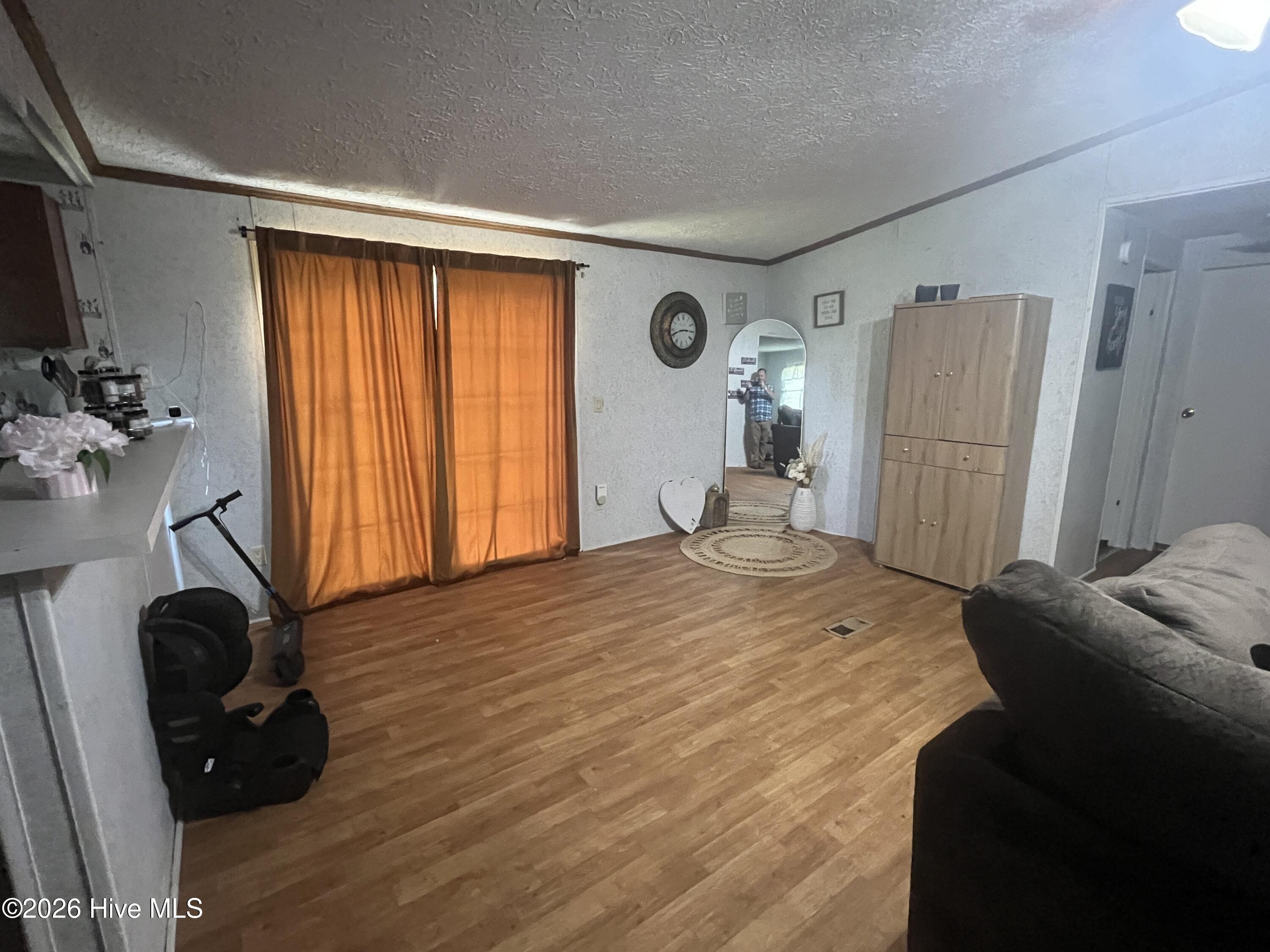 126 Spring Road Blenheim, SC 29516 - Photo 6 of 17