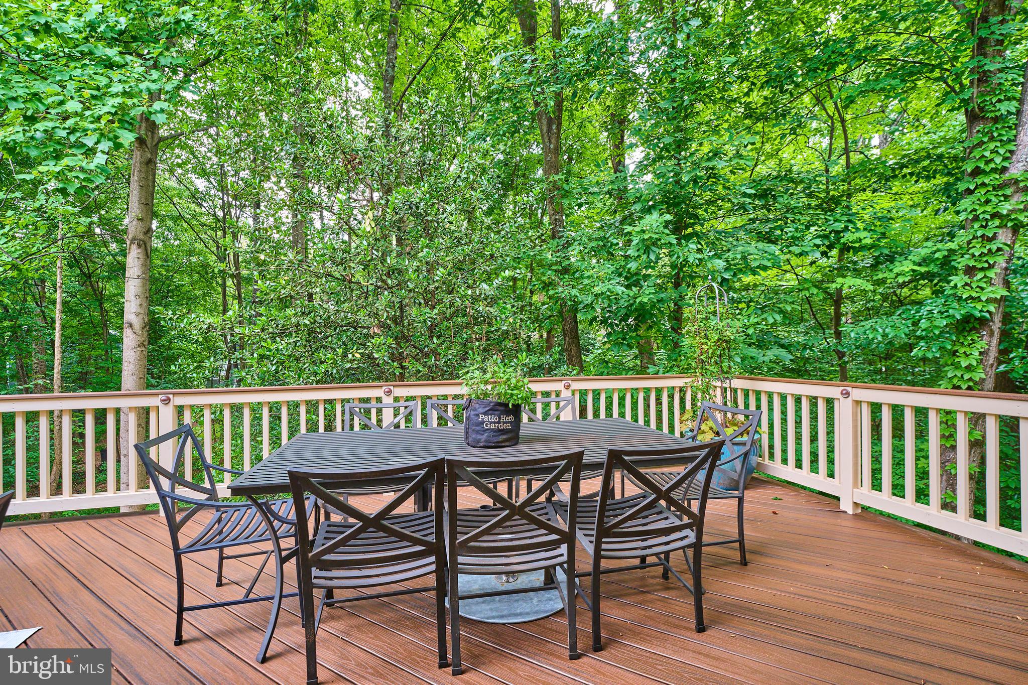 1416 Hemingway Court Reston, VA 20194 - Photo 25 of 54