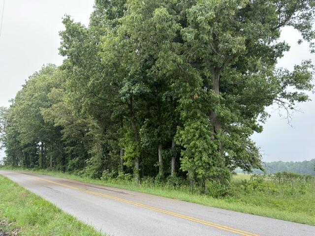 Parcel #026-0-0016 Parcel Road Murray, KY 42071 - Photo 1 of 6 IMG_8333