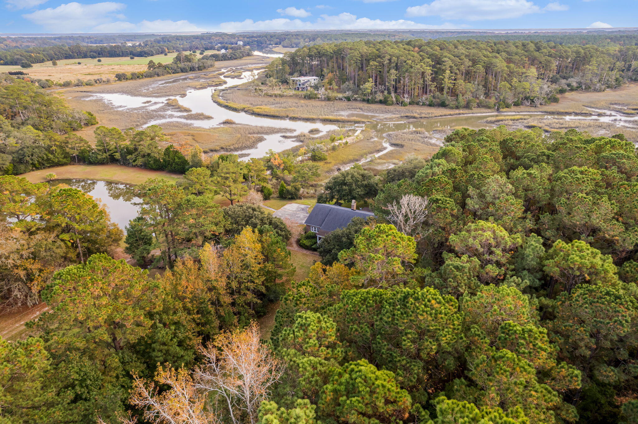 7787 Seafield Road Meggett, SC 29449 - Photo 52 of 57 Aerial View