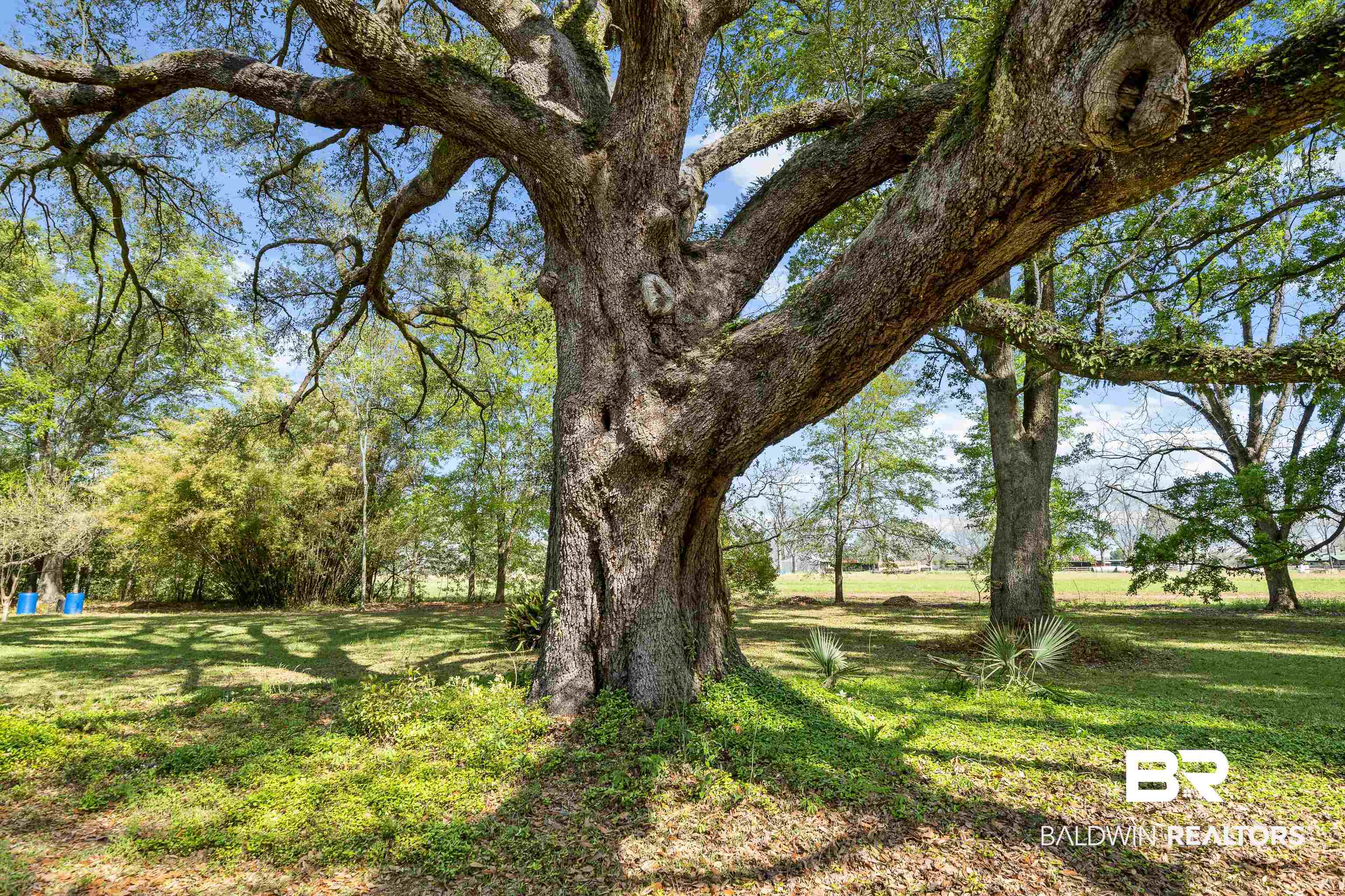 10407 LaLa Road Daphne, AL 36526 - Photo 37 of 47 Oaks