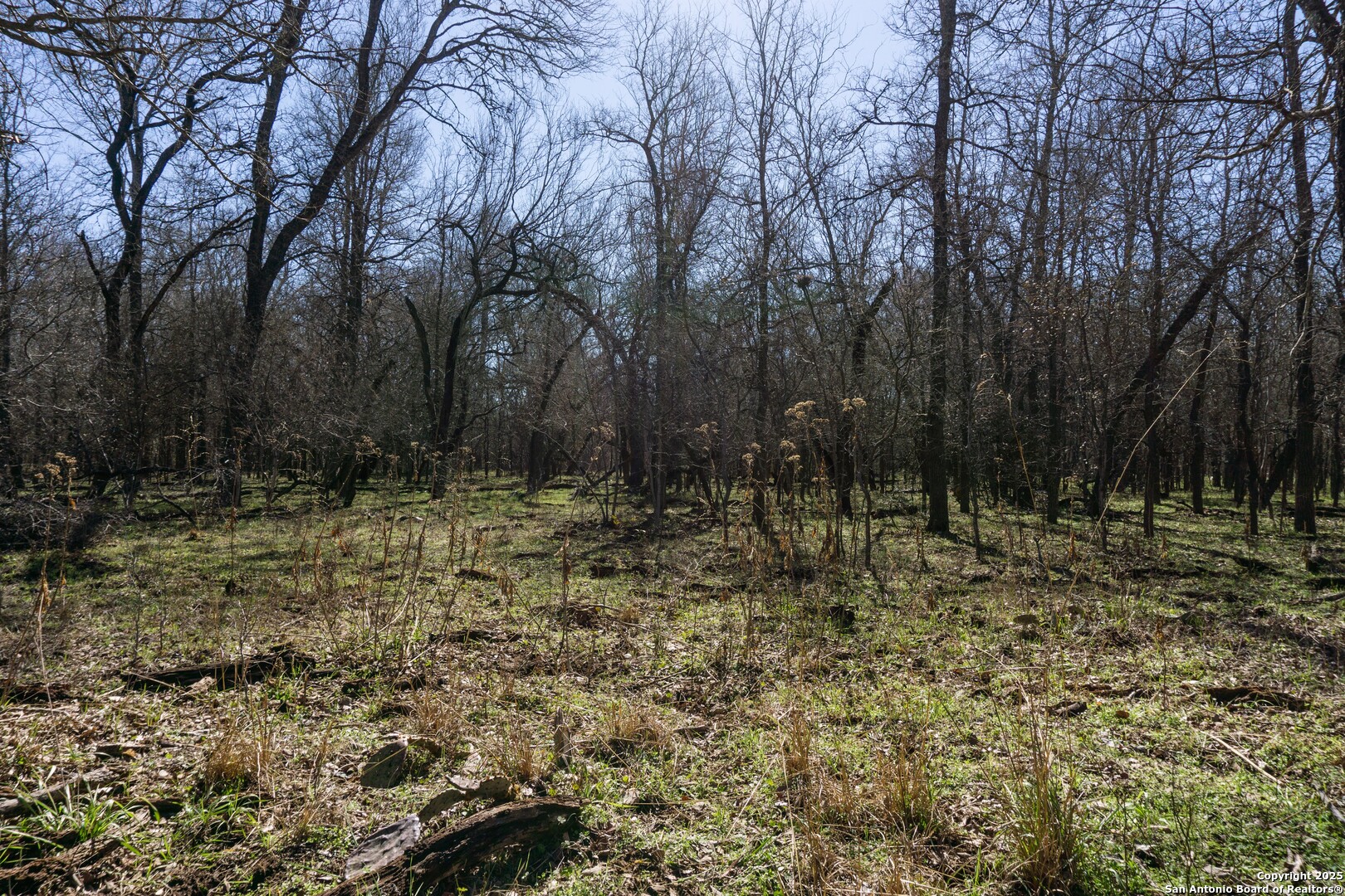 445 Marrou Road Seguin, TX 78155 - Photo 13 of 14 a view of backyard with green space