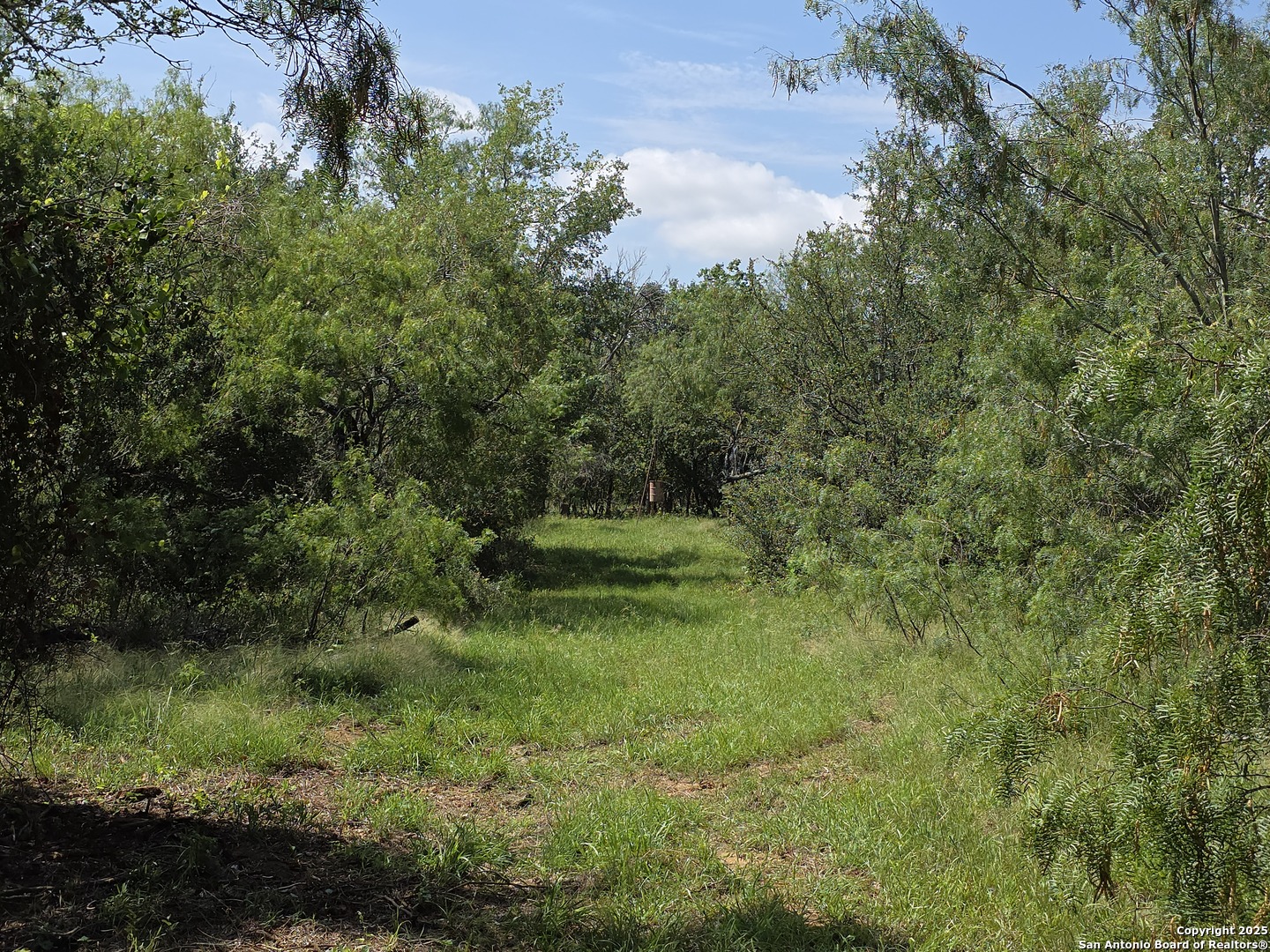 445 Marrou Road Seguin, TX 78155 - Photo 4 of 14 a view of a lush green outdoor space with a lake view