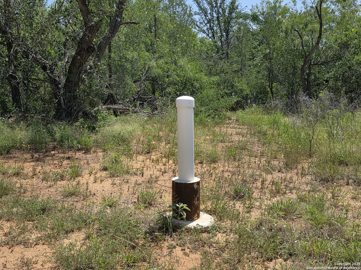 445 Marrou Road Seguin, TX 78155 - Photo 8 of 14 a view of a garden with large tree