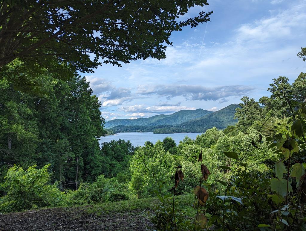 2.01-ac Bradshaw Road Hiawassee, GA 30546 - Photo 8 of 13