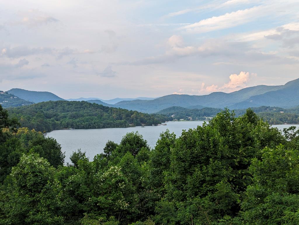 2.01-ac Bradshaw Road Hiawassee, GA 30546 - Photo 9 of 13