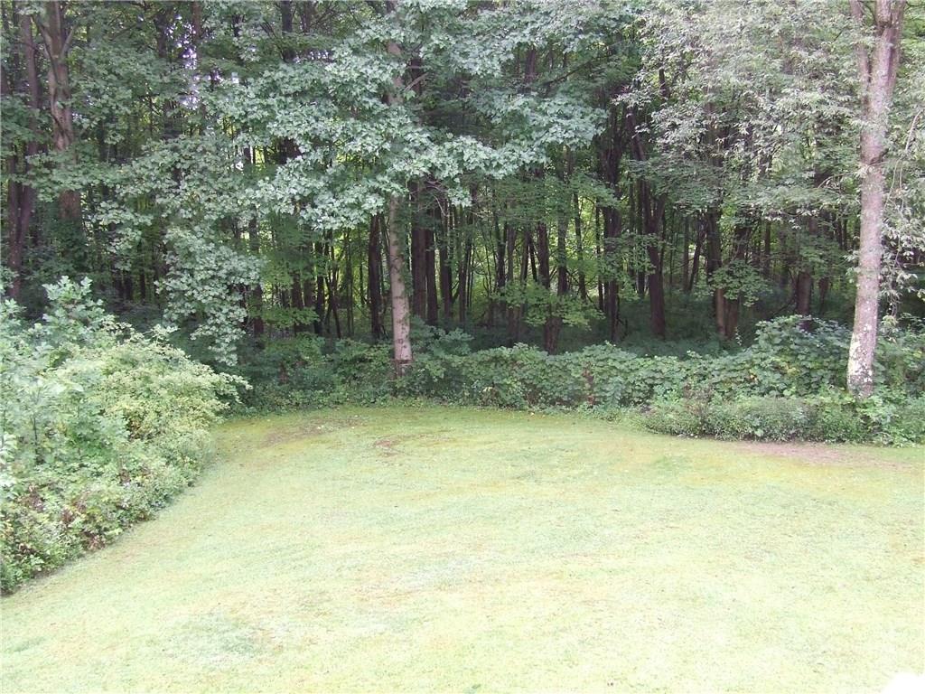 422 Binkey Road Ligonier, PA 15658 - Photo 19 of 23 Privacy galore !