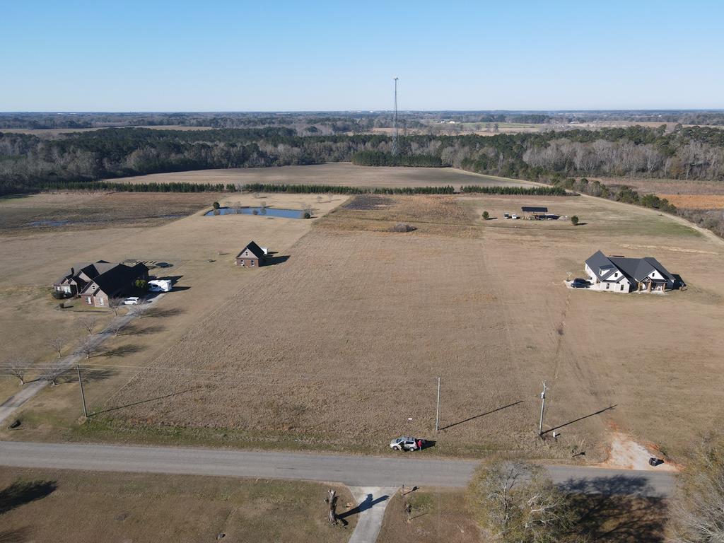 0 County Road 39 Road Headland, AL 36345 - Photo 7 of 7