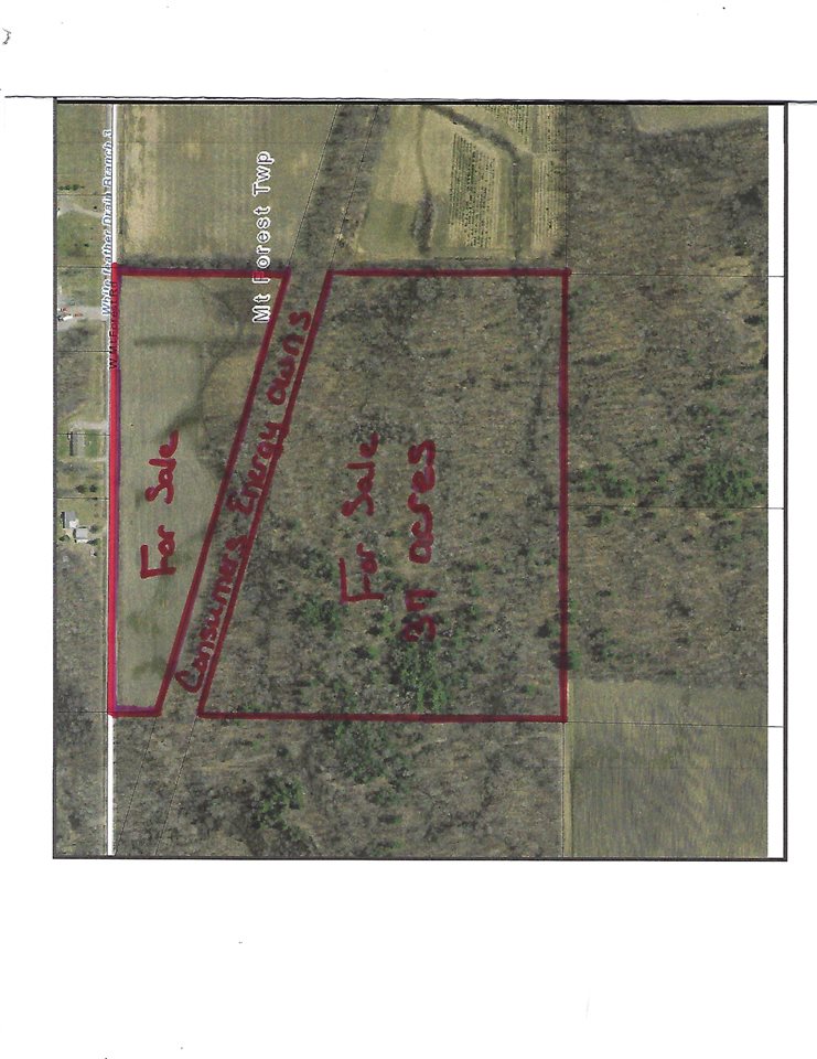 0 West Mt Forest Road Pinconning, MI 48650 - Photo 11 of 11