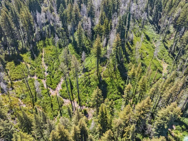 $449,999 | Lot 03 6 Branson Ranch, Boulder Creek, CA 95006