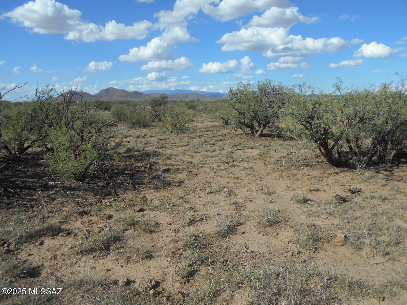 36.8-acres West Old Stewart Road, Unit 53 Willcox, AZ 85643 - Photo 37 of 42