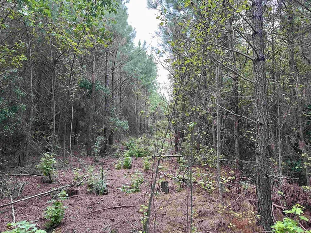 $9,675,000 | 7221 Sunset Lake Road, Fuquay-Varina, NC 27526