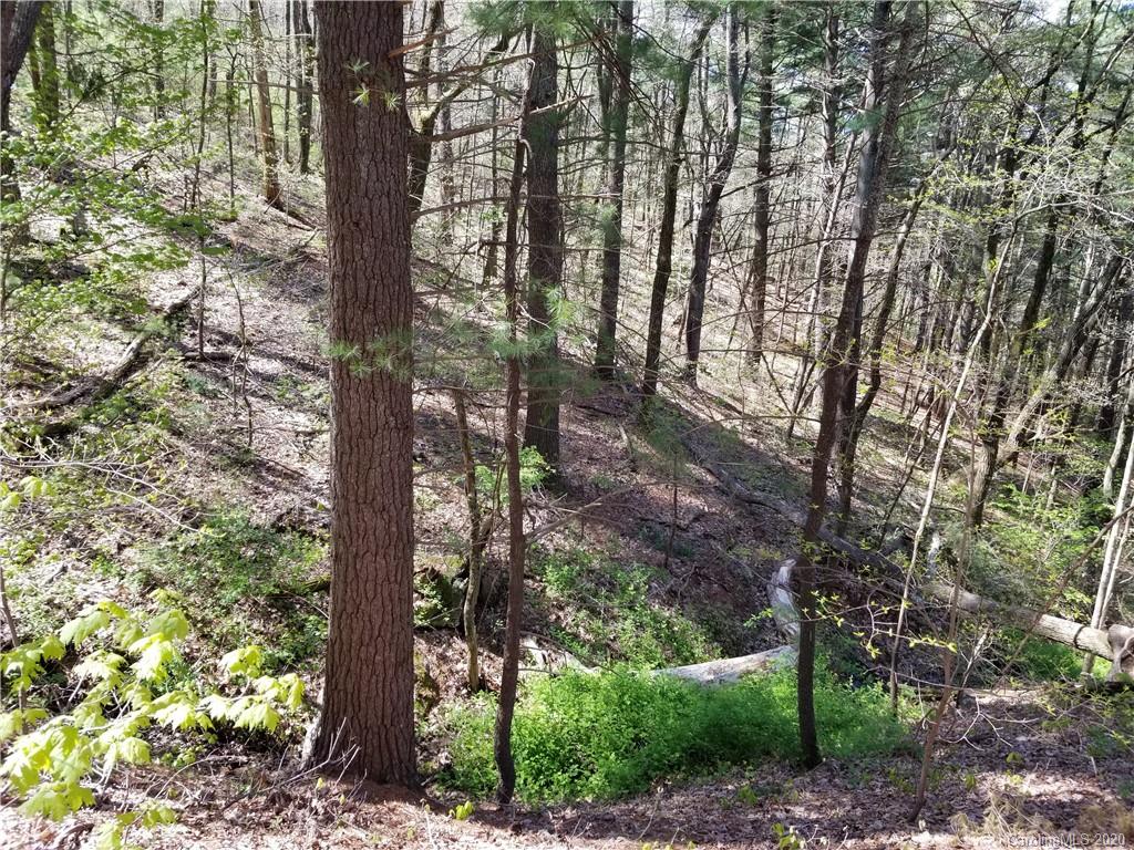 27.35 Mountainbrook Road Asheville, NC 28805 - Photo 15 of 46 a view of forest