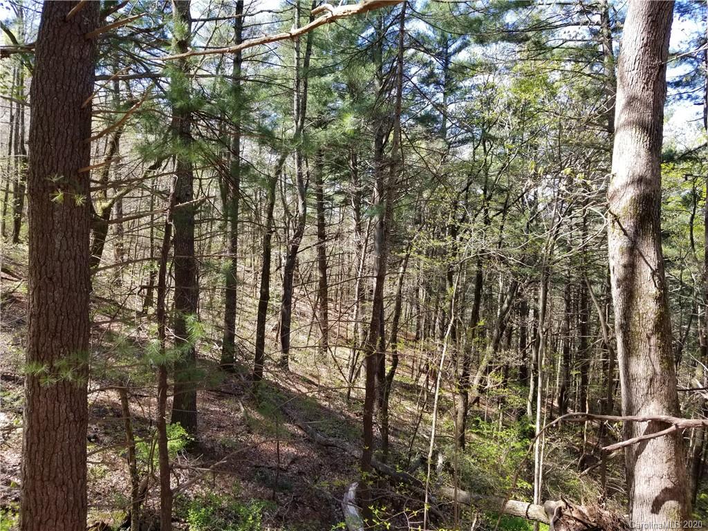 27.35 Mountainbrook Road Asheville, NC 28805 - Photo 3 of 46