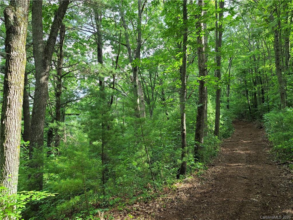 27.35 Mountainbrook Road Asheville, NC 28805 - Photo 22 of 46 a view of a forest with trees