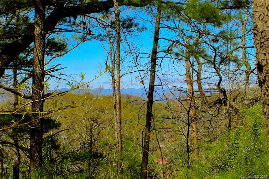 27.35 Mountainbrook Road Asheville, NC 28805 - Photo 23 of 46 a view of an tree