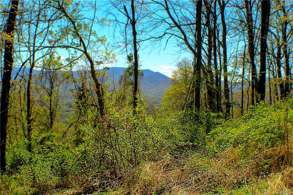 27.35 Mountainbrook Road Asheville, NC 28805 - Photo 4 of 46 a view of lake from a house