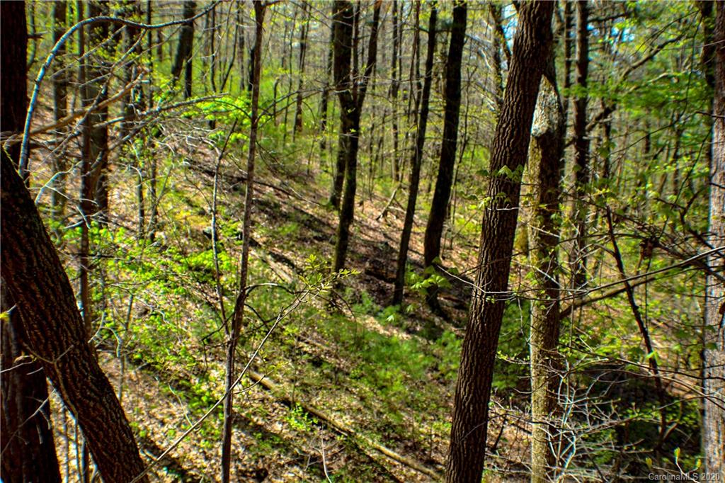 27.35 Mountainbrook Road Asheville, NC 28805 - Photo 6 of 46