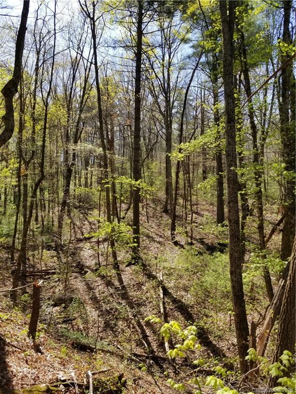 27.35 Mountainbrook Road Asheville, NC 28805 - Photo 7 of 46 a view of yard