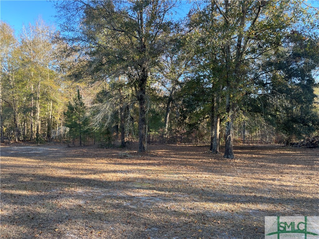 110 Ellis Drive Rincon, GA 31326 - Photo 16 of 18