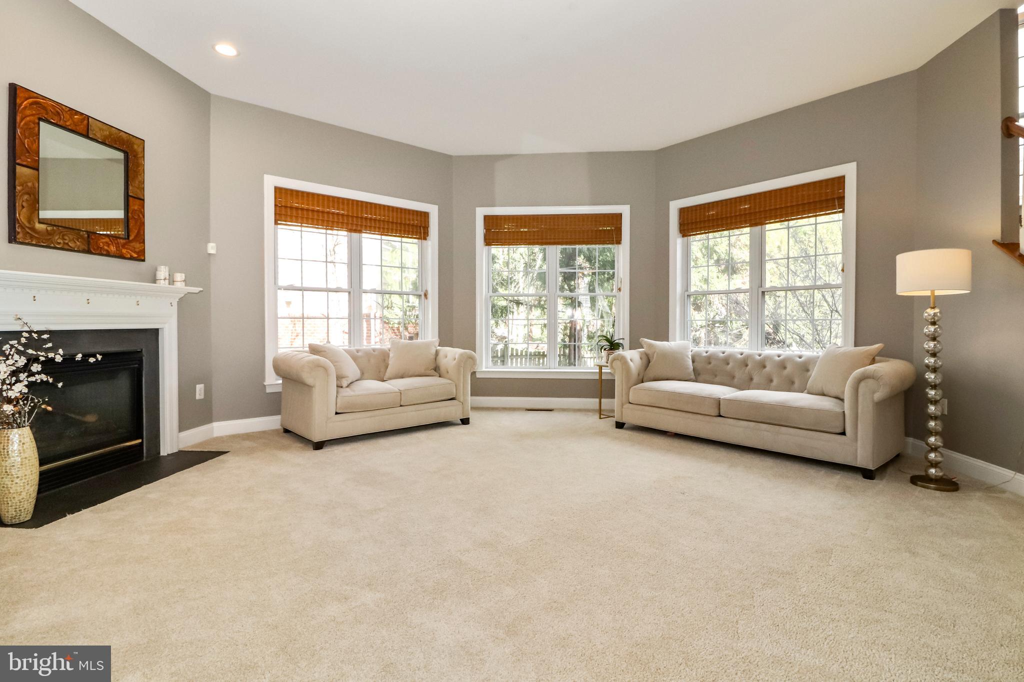 22773 Highcrest Circle Brambleton, VA 20148 - Photo 12 of 40 a living room with furniture and a fireplace