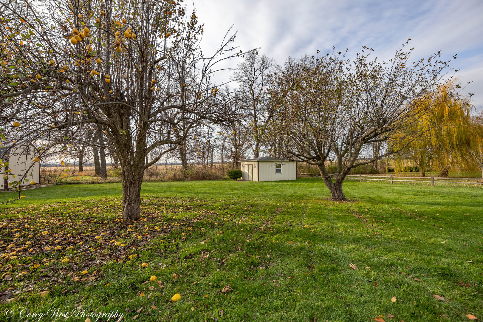 6790 Cherry Valley Road Kingston, IL 60145 - Photo 35 of 44 a view of yard with trees