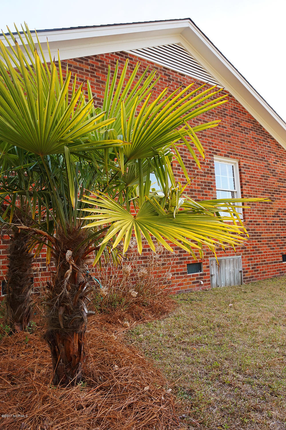 204 Beawood Road Wilmington, NC 28411 - Photo 29 of 29 29-right_side_of_house