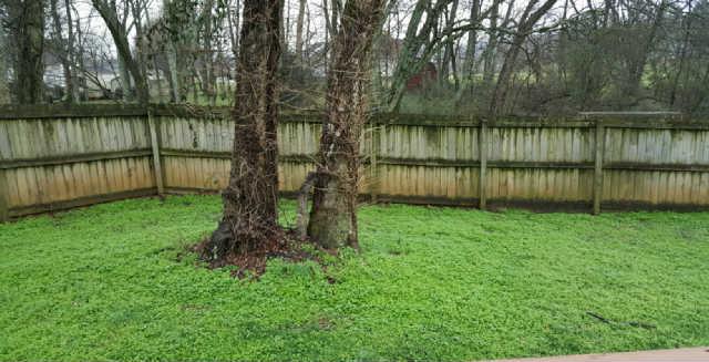 4555 Blackman Road Murfreesboro, TN 37129 - Photo 10 of 10 Gallery Image 10