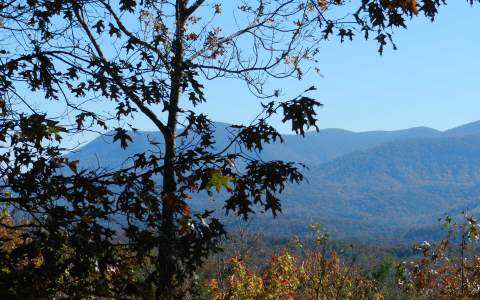 L20 Flagpole Road Ellijay, GA 30540 - Photo 1 of 1 Main View