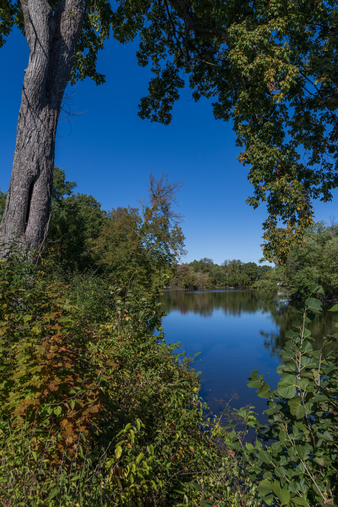 135 Jeremy Street Constantine, MI 49042 - Photo 50 of 63 135 Jeremy-45
