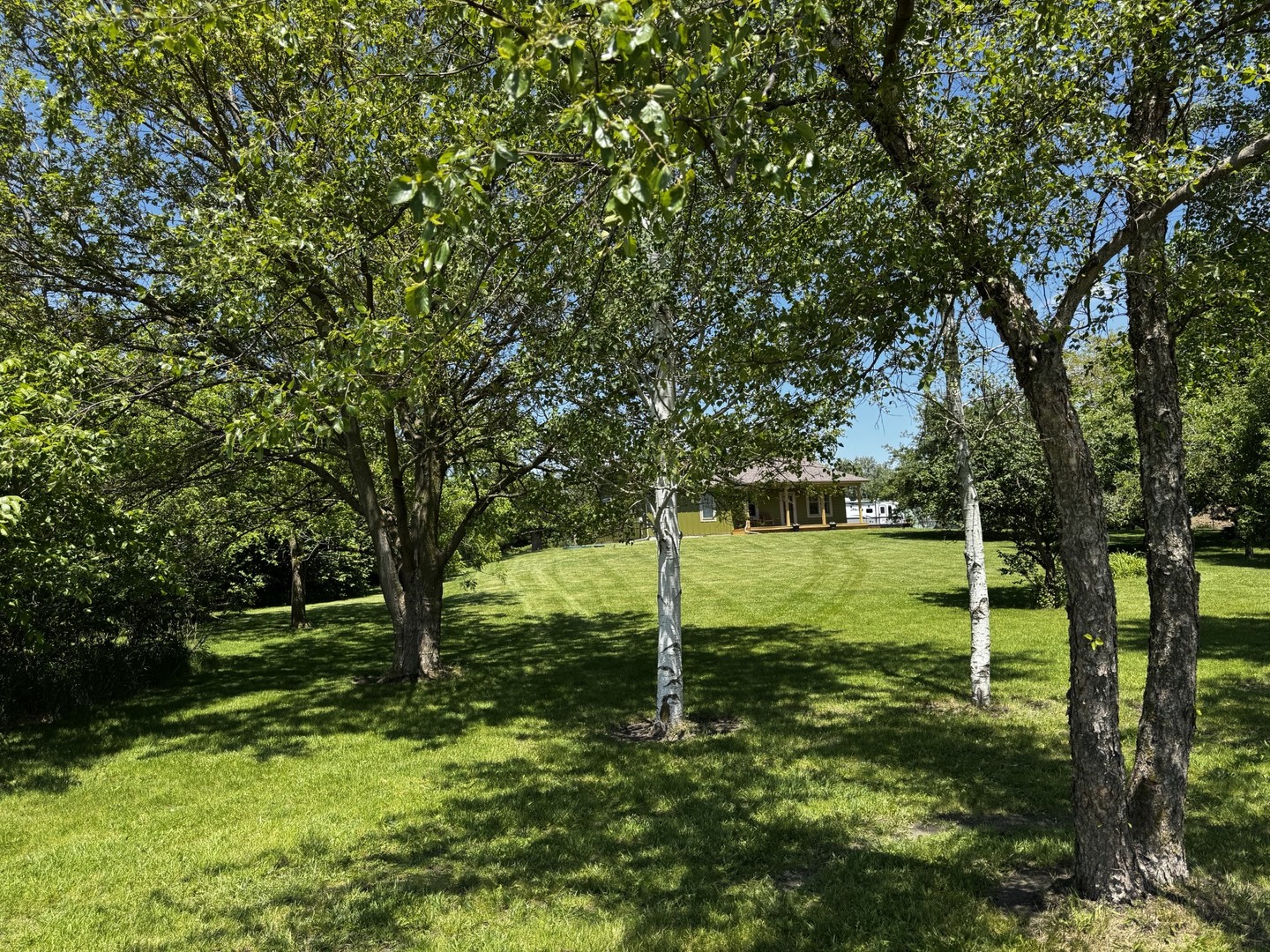 22037 East 2600 N Road Odell, IL 60460 - Photo 10 of 59 a view of a park with large trees