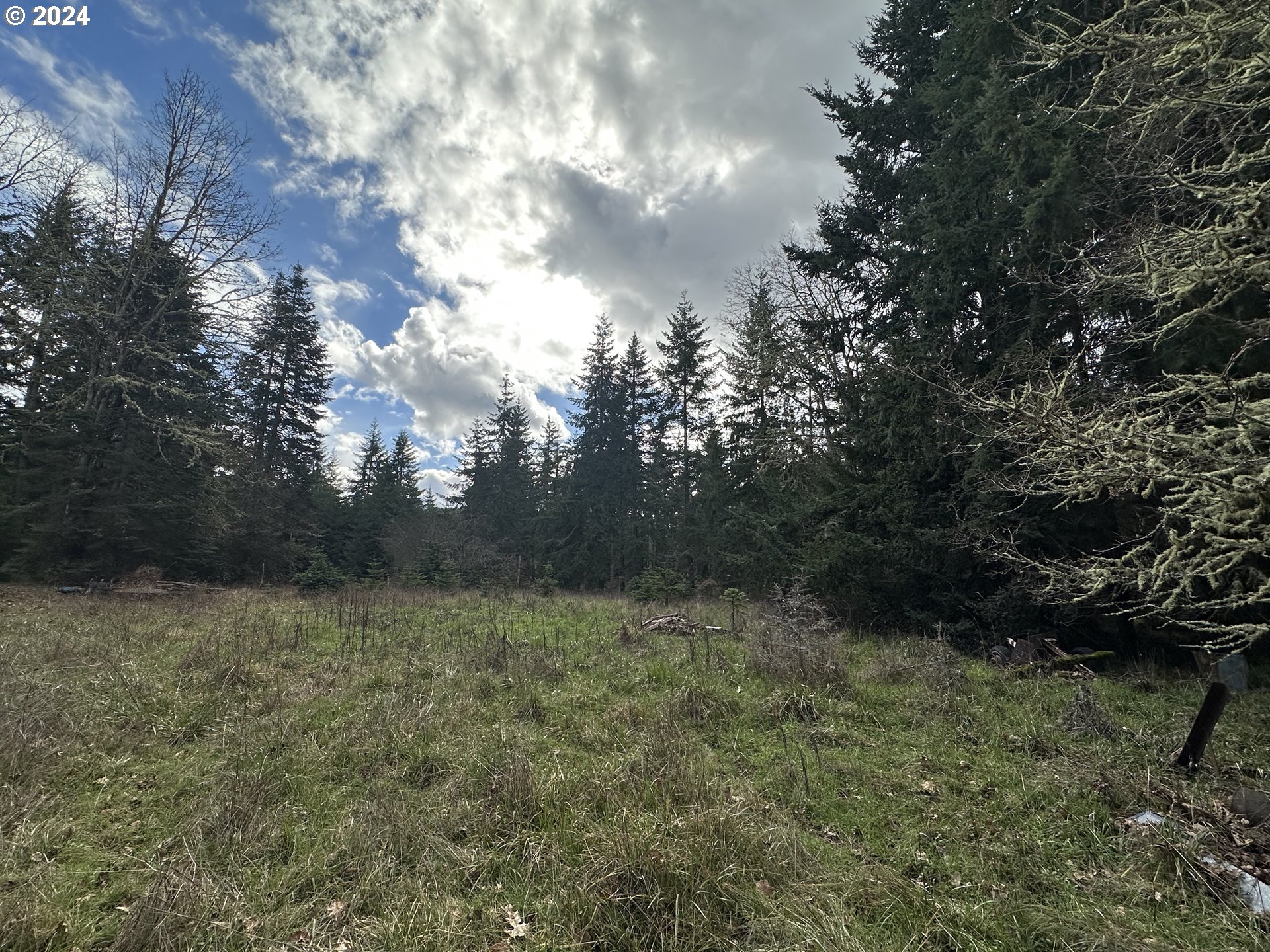 26759 Doble Eugene, OR 97402 - Photo 4 of 19 a view of outdoor space and yard