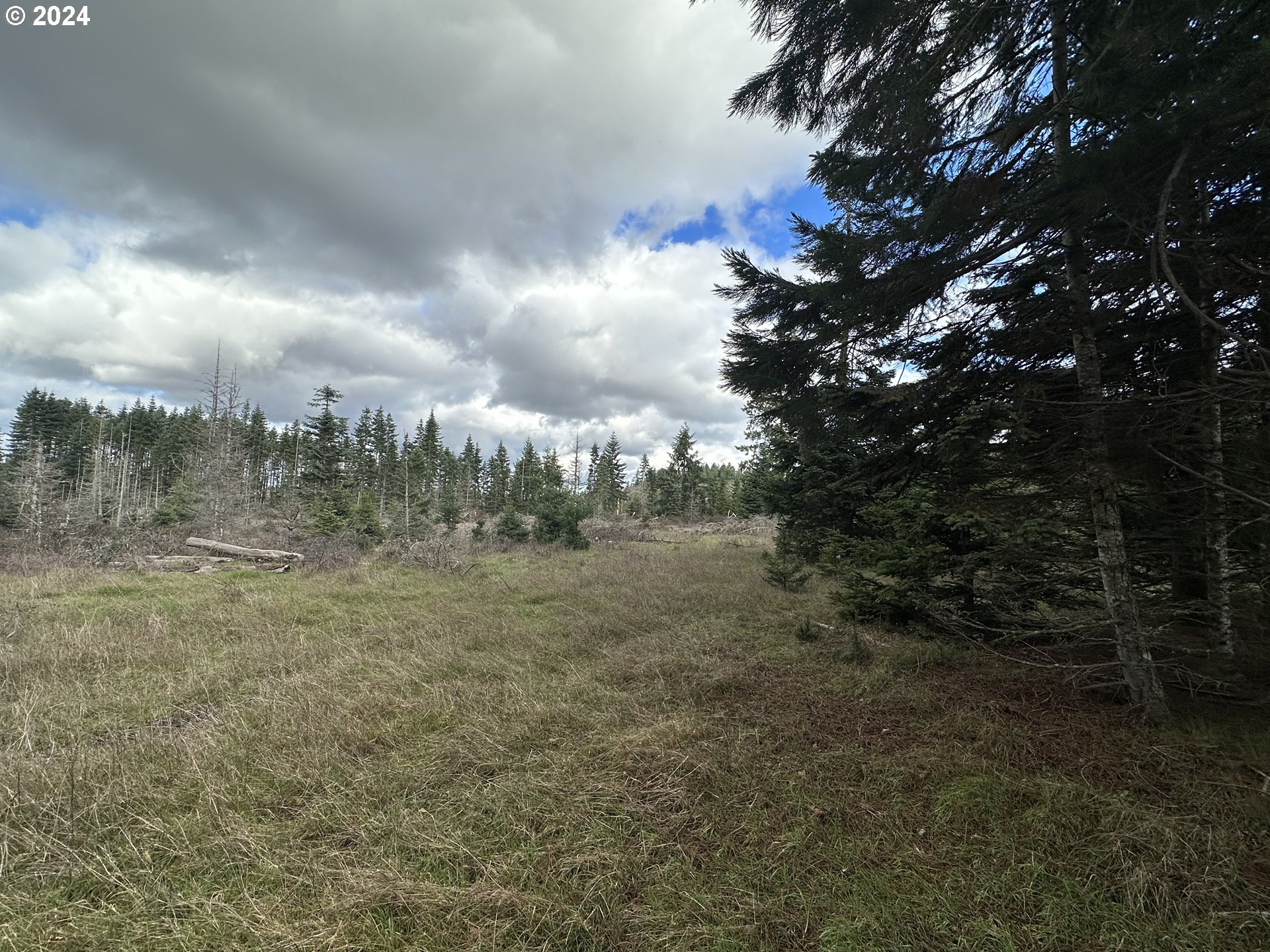 26759 Doble Eugene, OR 97402 - Photo 5 of 19 a view of a big yard with large trees