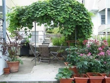 146 Hillside Road, Unit 1 Watertown, MA 02472 - Photo 17 of 20 Gallery Image 17