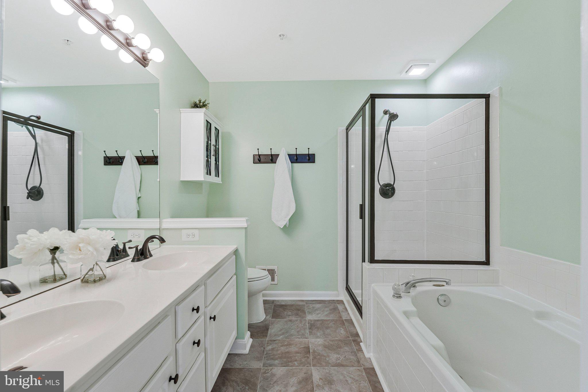 21789 Baldwin Square, Unit 21789 Sterling, VA 20164 - Photo 18 of 33 a bathroom with a tub a sink and mirror