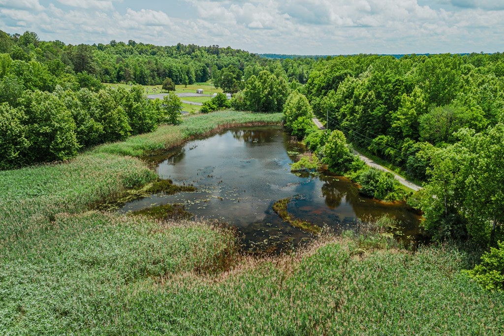 2963 Buttermilk Road St. Charles, KY 42453 - Photo 15 of 28 Gallery Image 15