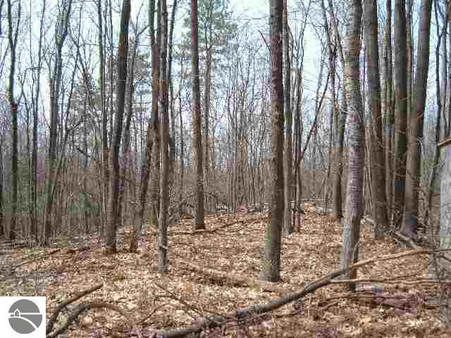 0 Wangler Road Rose City, MI 48654 - Photo 5 of 5 1762505-4.JPG