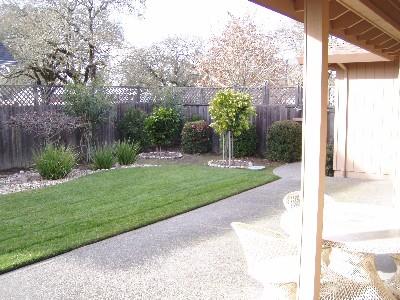 1129 Kidd Road Windsor, CA 95492 - Photo 8 of 11 a view of a park with plants and a bench
